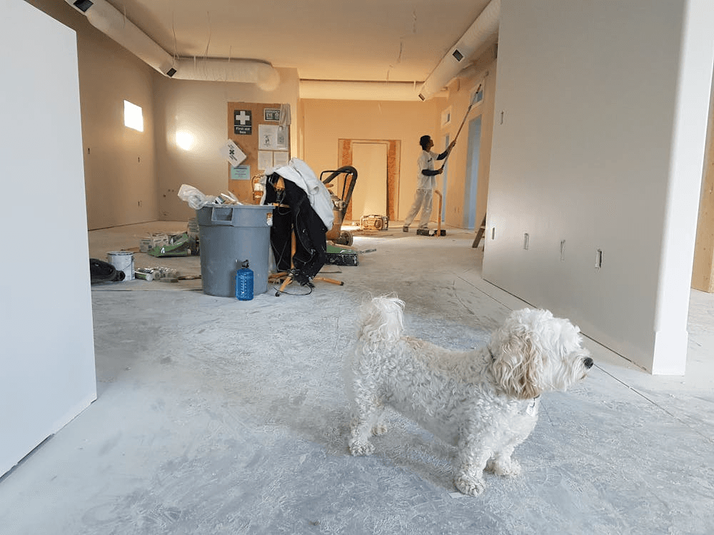 Renovations